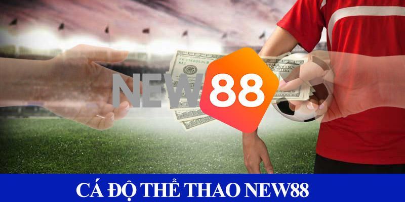 Giới thiệu sơ lược về Thể Thao New88